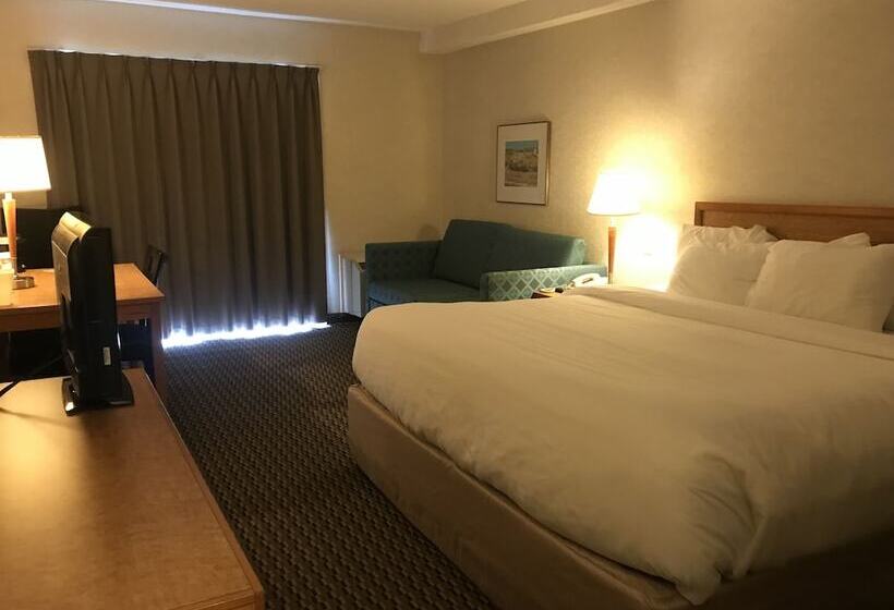 فندق Rodeway Inn