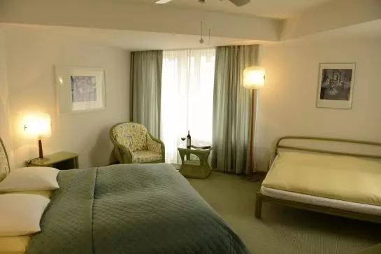 فندق Sasso Boretto