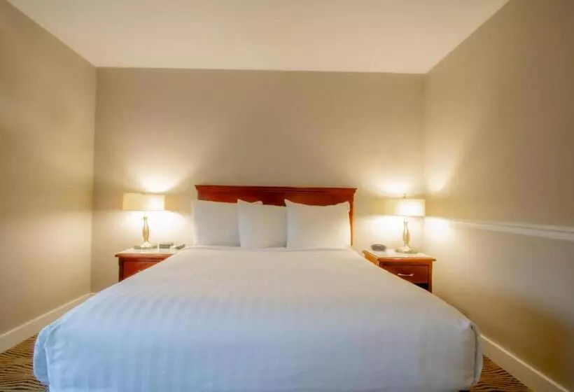 Hotelli Scott S Inn & Suites