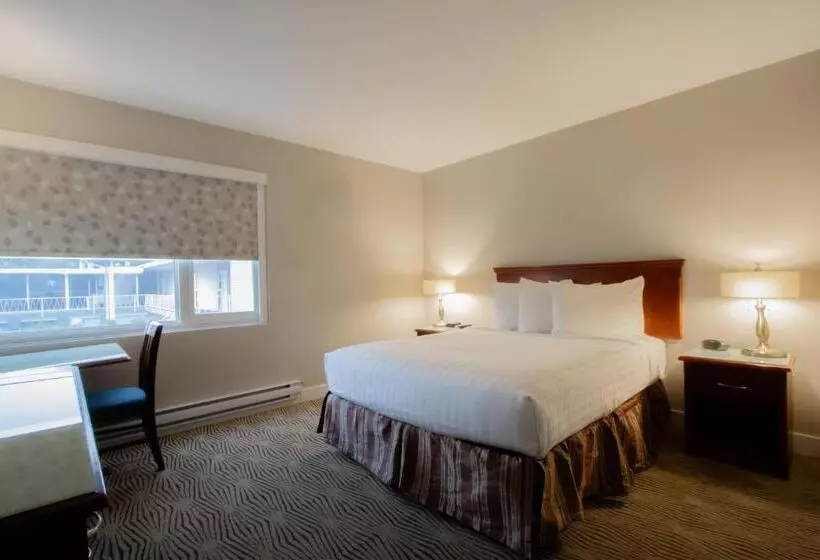 Hotelli Scott S Inn & Suites