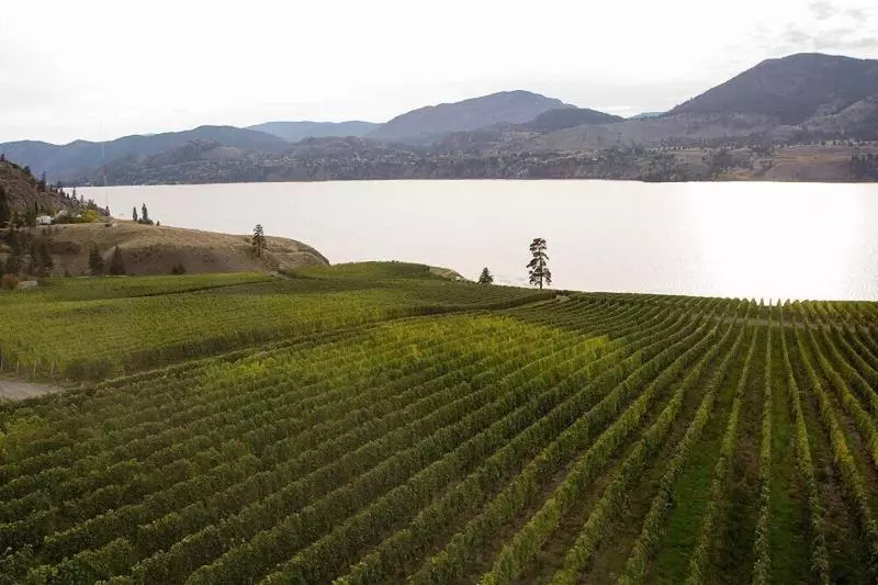 Hôtel Super 8 By Wyndham Penticton