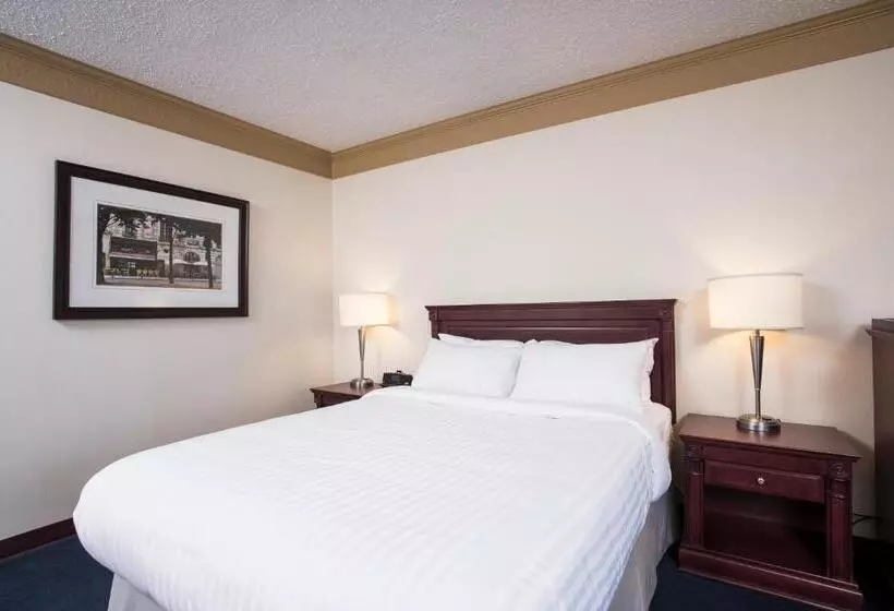 汽车旅馆  Le Deville Par G5