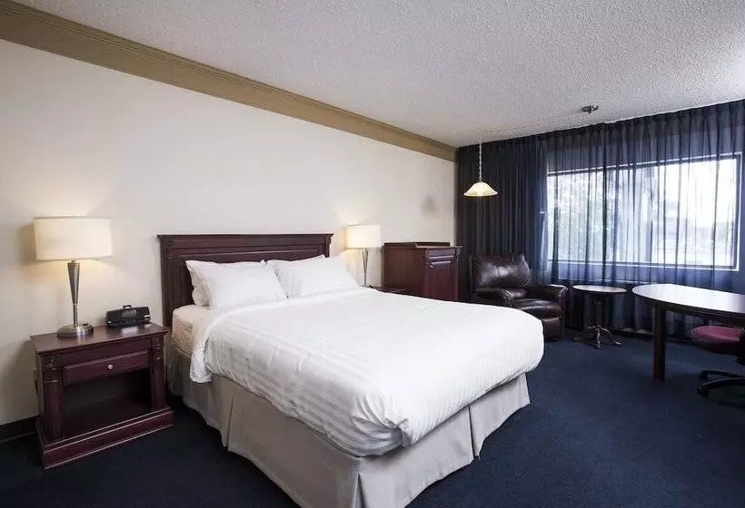 汽车旅馆  Le Deville Par G5