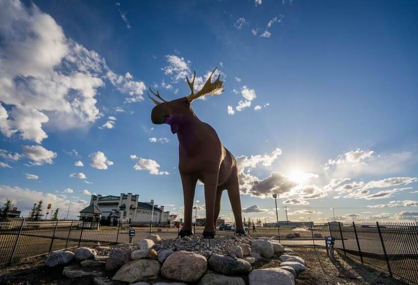 استراحتگاه Temple Gardens Hotel & Spa