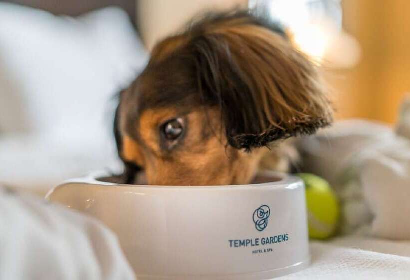 استراحتگاه Temple Gardens Hotel & Spa