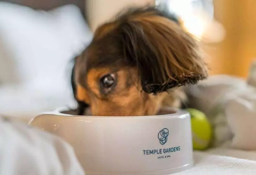 Resort Otel Temple Gardens Hotel & Spa