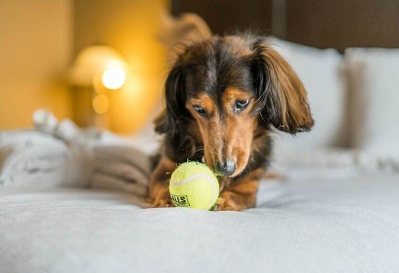 استراحتگاه Temple Gardens Hotel & Spa