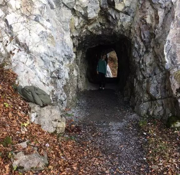 Boutique Hotel Bellevue B&b Am Brienzersee Iseltwald Interlaken