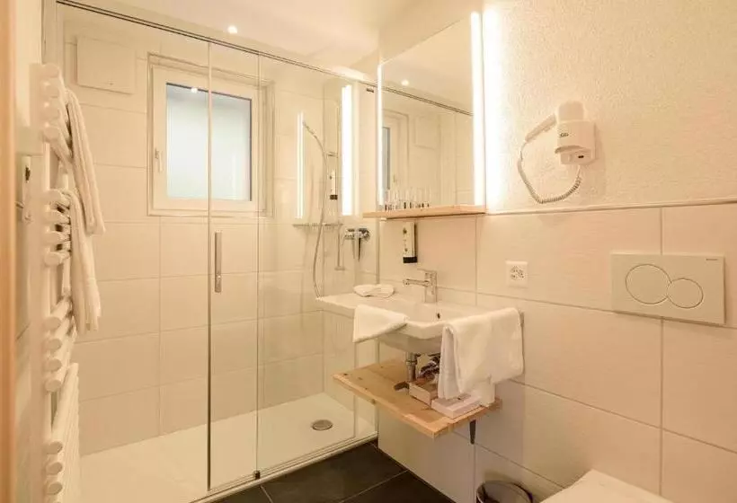 Hotel Caprice  Grindelwald