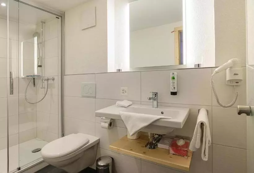 Hotel Caprice  Grindelwald