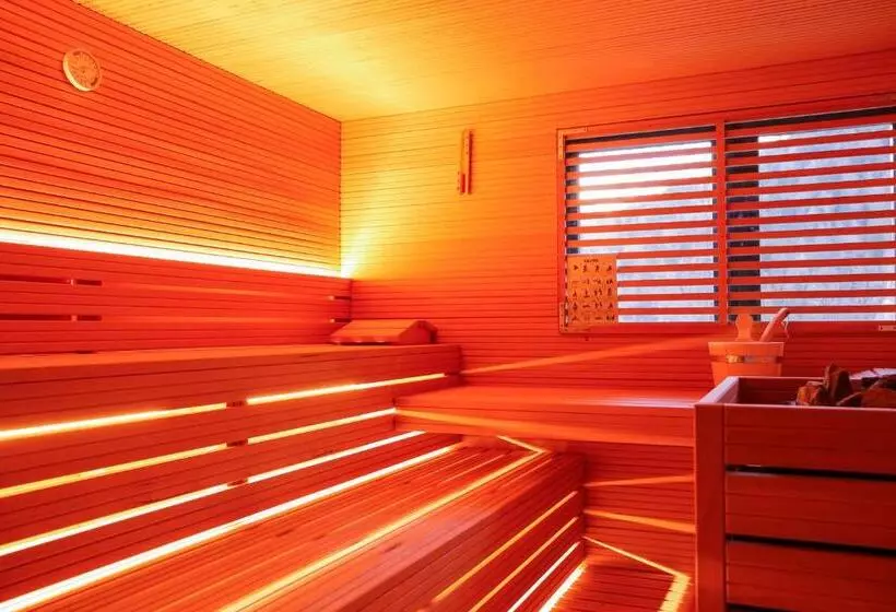 ホテル Hôtel Alpina   Swiss Ski & Bike Lodge Grimentz