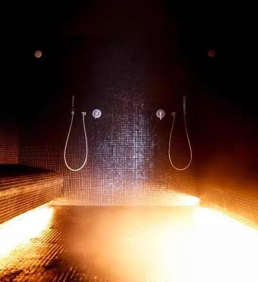 ホテル Hôtel Alpina   Swiss Ski & Bike Lodge Grimentz