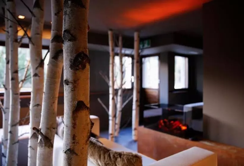 ホテル Hôtel Alpina   Swiss Ski & Bike Lodge Grimentz
