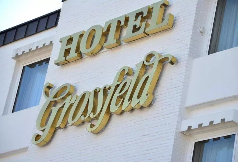 فندق Grossfeld