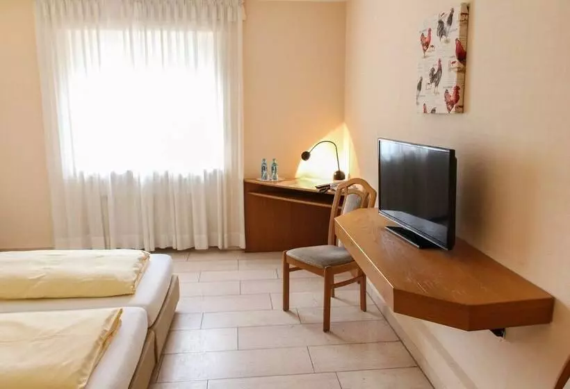 Отель Westermann