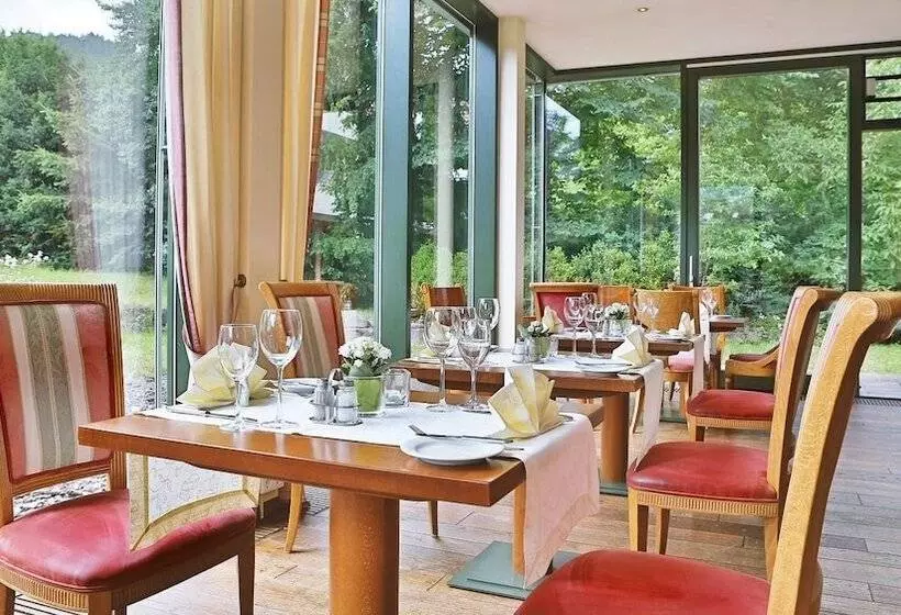 Отель Kloster Hirsau