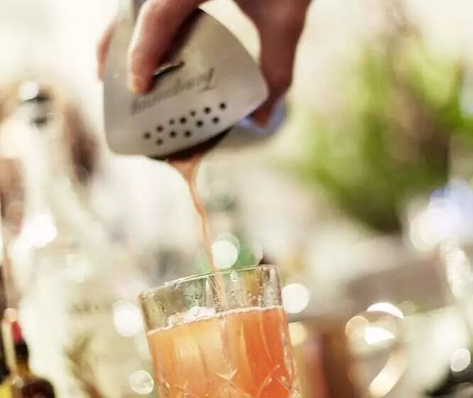 호텔 Ritter Durbach