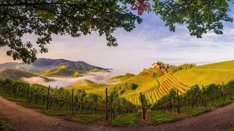 호텔 Ritter Durbach