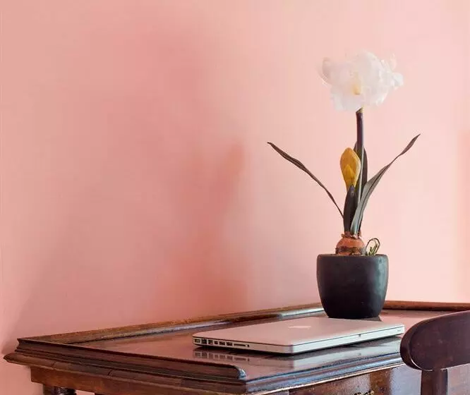 فندق Schloss Heinsheim