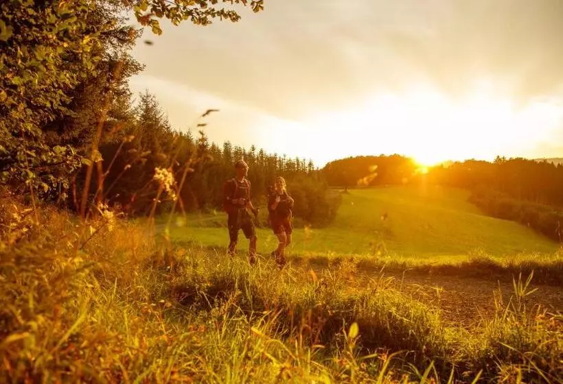 Romantikhotel Platte