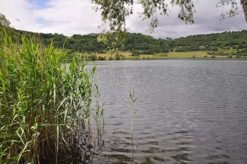 Schloßhotel Kurfürstliches Amtshaus Dauner Burg