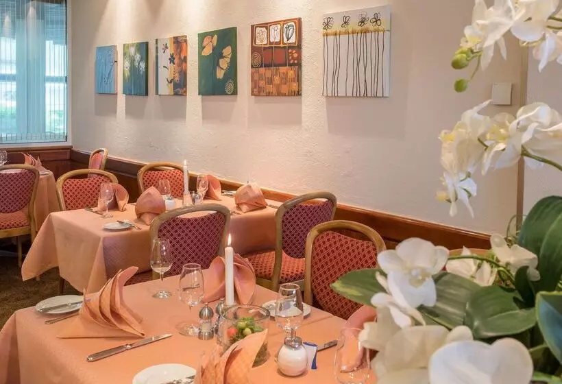 Best Western Parkhotel Weingarten