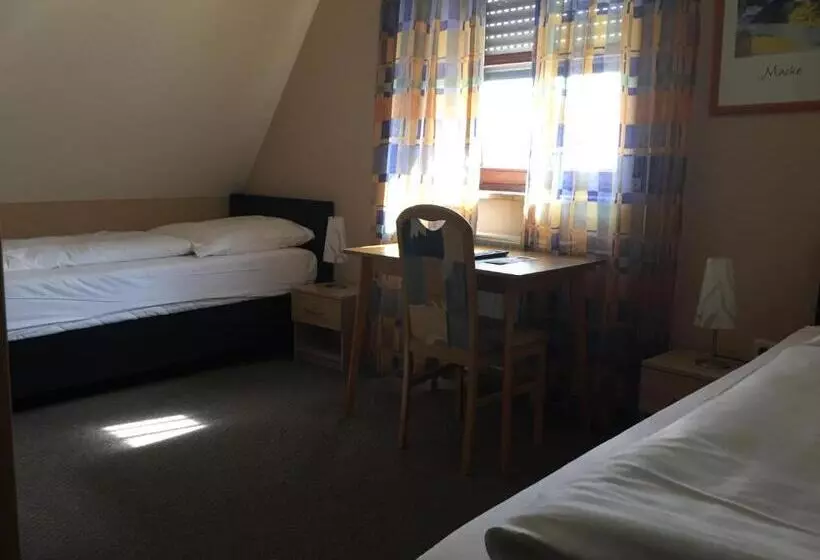 Hotel Gasthof Alter Ritter