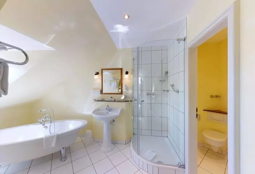 فندق Goldene Traube