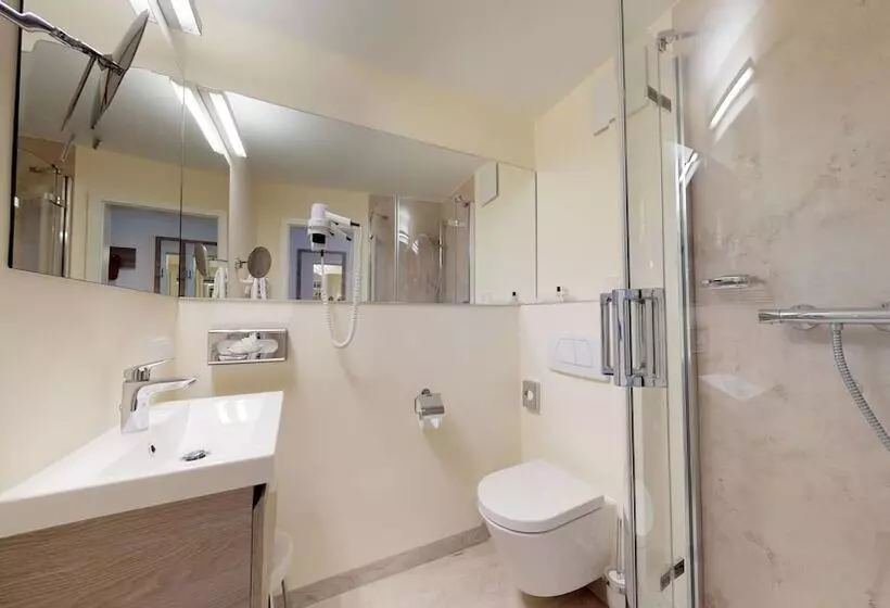 فندق Goldene Traube