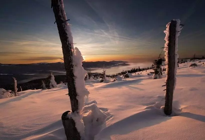 Hotelli Sonnenhof Lam