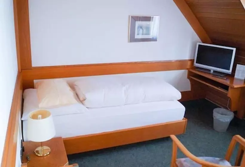 בית מלון כפרי Waldshuter Hof