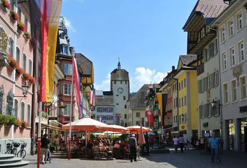 בית מלון כפרי Waldshuter Hof