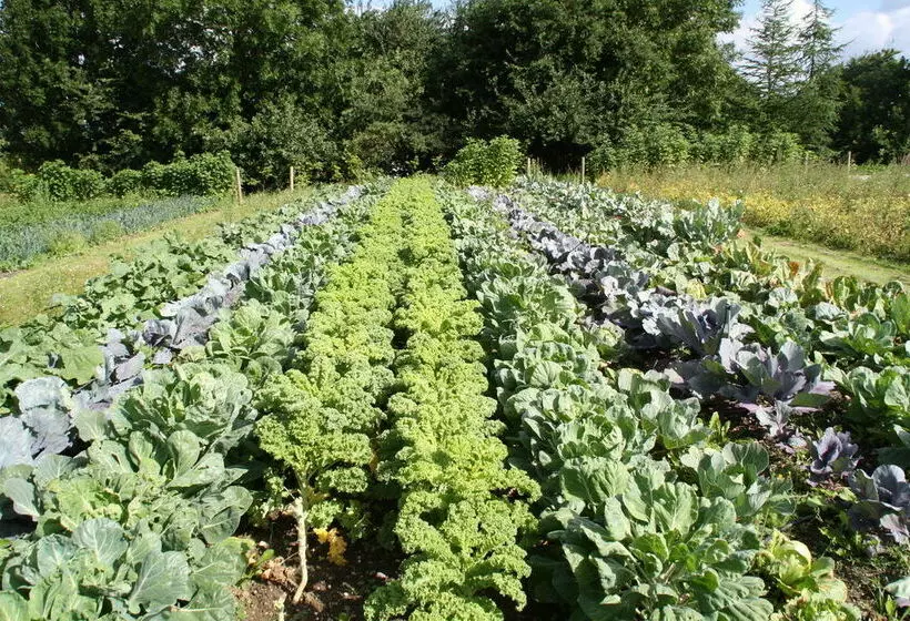 Hotel Christies Sdr. Hostrup Kro