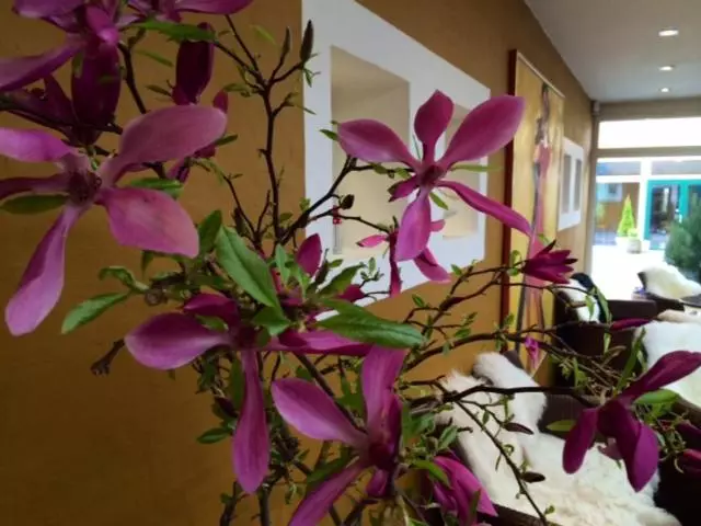 فندق And Restaurant Fru Larsen