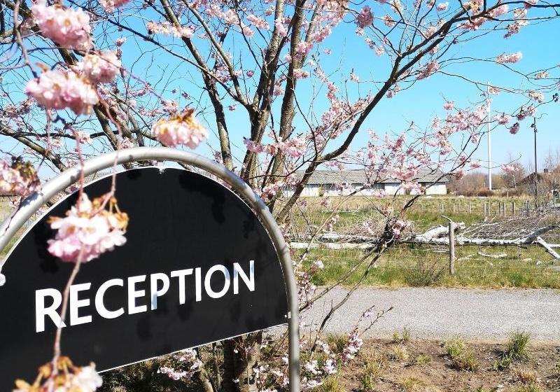 בית מלון כפרי Ryttergården