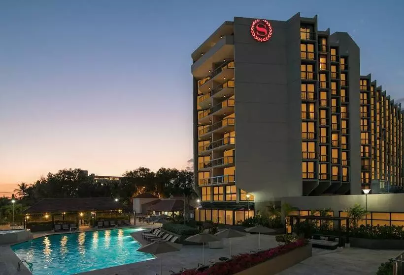 酒店 Sheraton Santo Domingo