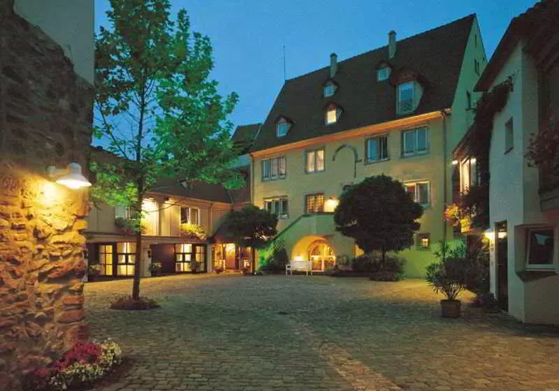酒店 A La Cour D Alsace By Happyculture