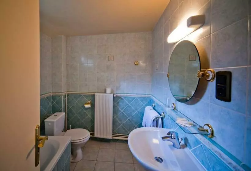 Отель Grand Hôtel Du Midi