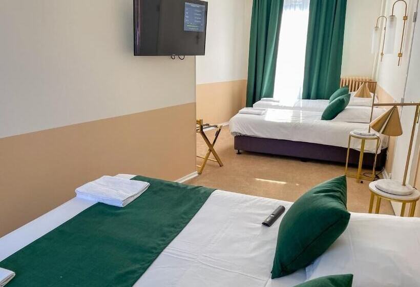 فندق Grand Hôtel Saint Aignan