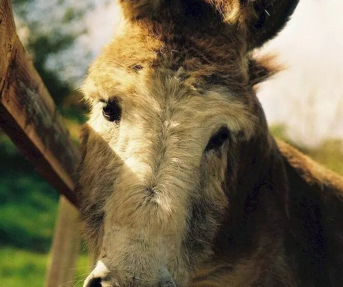 Gregans Castle Hotel