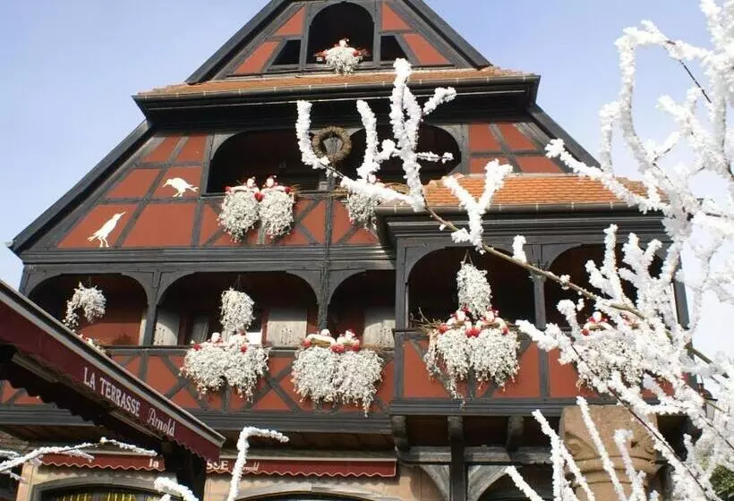 فندق Hôtel Arnold