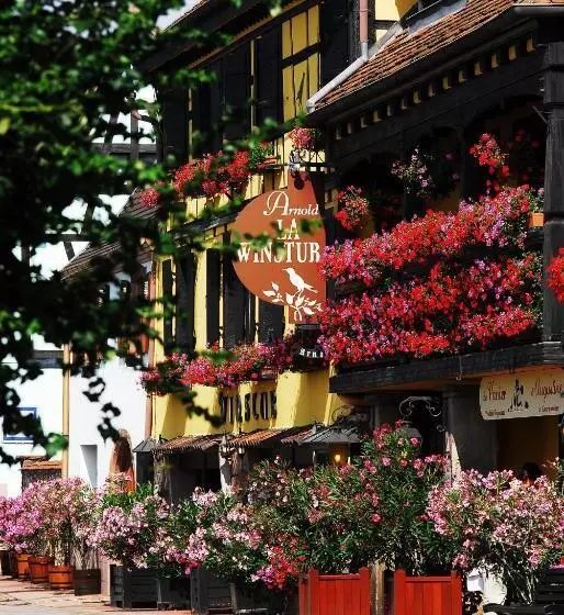 فندق Hôtel Arnold