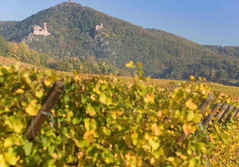 酒店 Ibis Colmar Centre