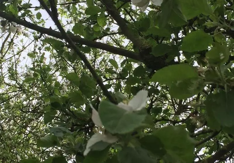 Hotel Logis Hôtel Le Manoir Des Portes