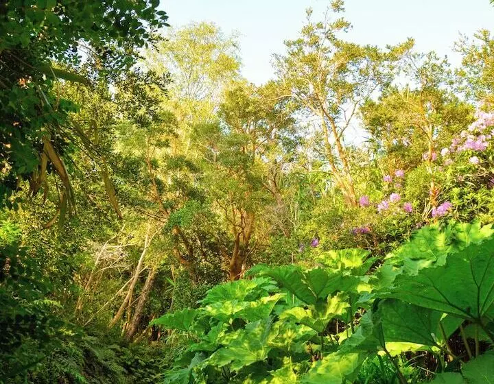 ホテル Parknasilla Resort & Spa