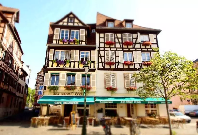 酒店 Logis Hôtel Au Cerf d'Or