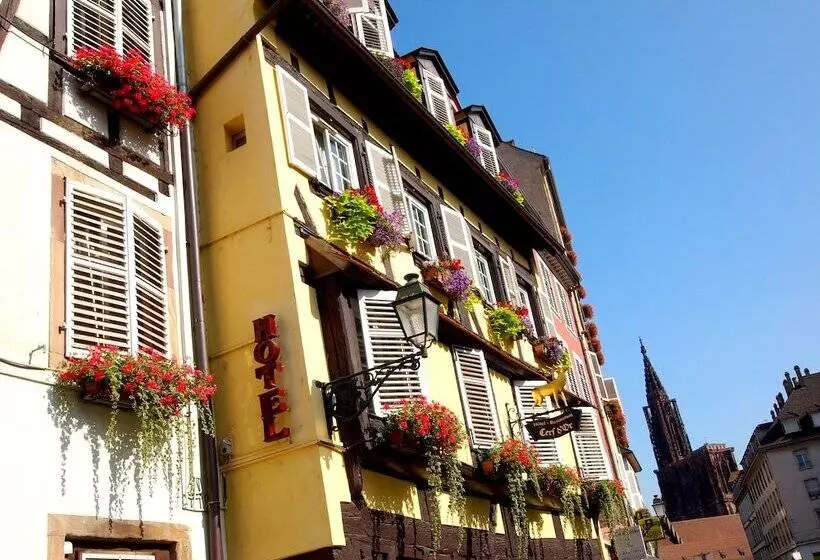 酒店 Logis Hôtel Au Cerf d'Or