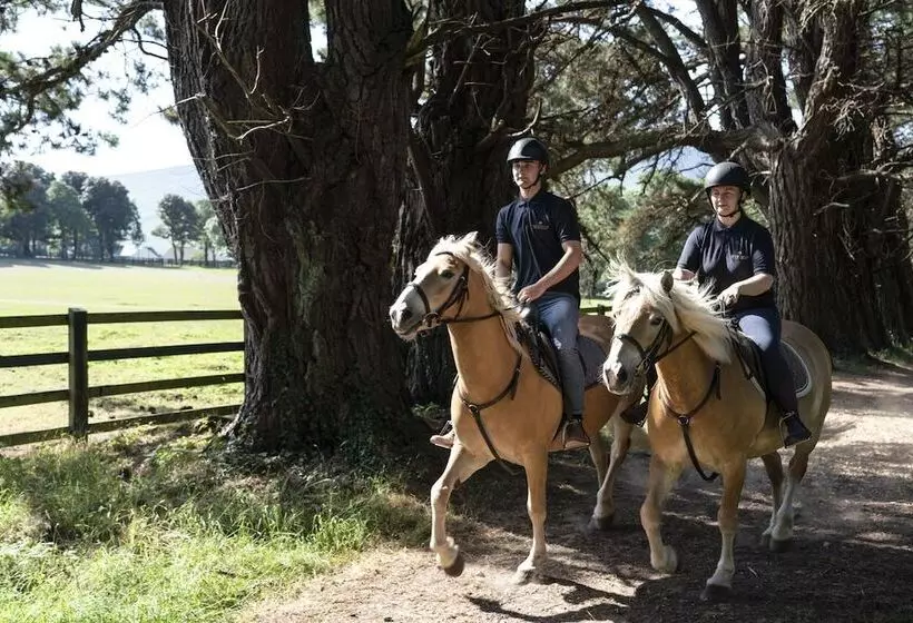 The Europe Hotel & Resort