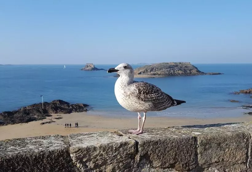 호텔 Balmoral Dinard