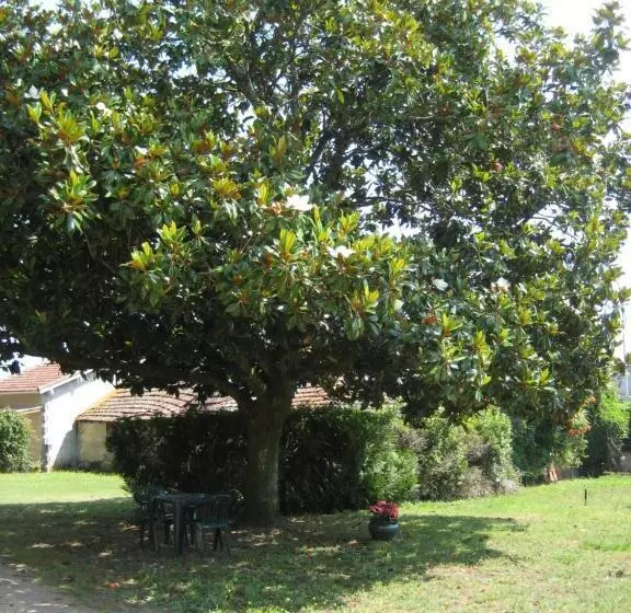 Отель Bellevue De Tradition Familiale